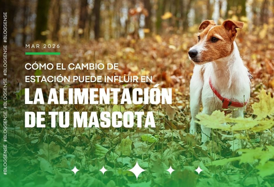 Cómo el cambio de estación puede influir en la alimentación de tu mascota